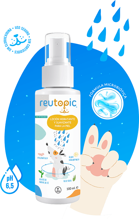 Spray para perros